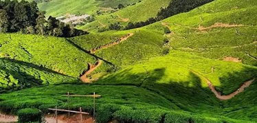 Kerala – Munnar 2N3D