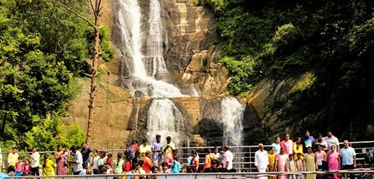 Kodaikanal Special Honeymoon