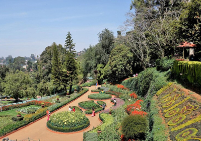 Ooty Kodaikanal Honeymoon Packages