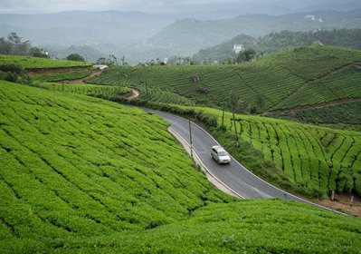 Kerala – Wayanad 2N3D