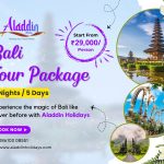 Bali Tour Package from Chennai