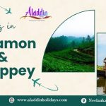 Attractions in Vagamon and Alleppey