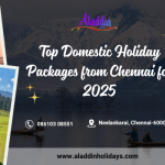 Best Domestic Tour Packages Chennai