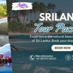 Best srilanka tour packages from chennai