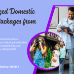 Customized Domestic Travel Packages