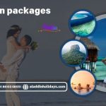 Honeymoon Packages from chennai