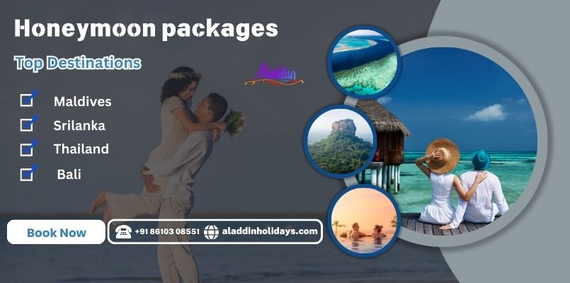 Honeymoon Packages from chennai