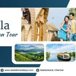 Kerala Honeymoon Tour from chennai