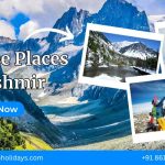 Must visit Destination in Kashmir